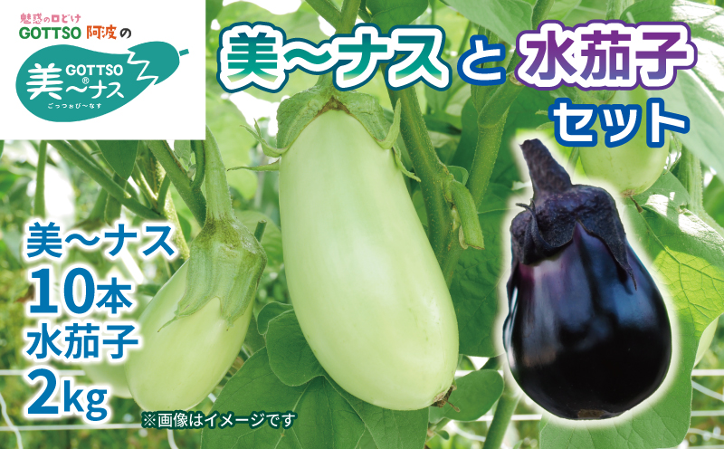 野菜 なすび 茄子 美～ナス 10本 水茄子 約2kg 詰め合わせ セット 朝