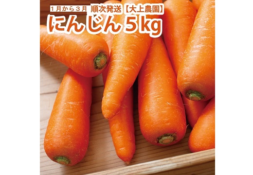 大上農園 にんじん 5kg