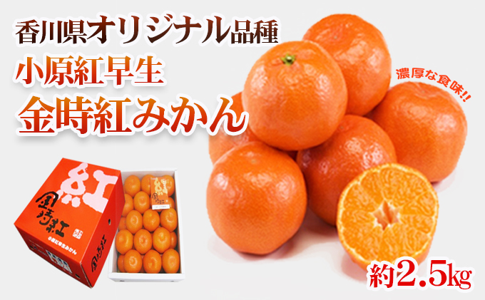 香川県オリジナル品種 小原紅早生みかん 金時紅 約2 5kg 化粧箱入 ふるラボ