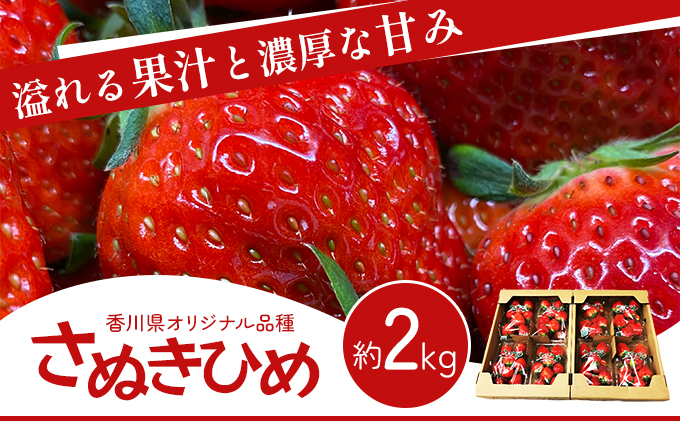 香川県オリジナル品種！  いちご【さぬきひめ】  2kg