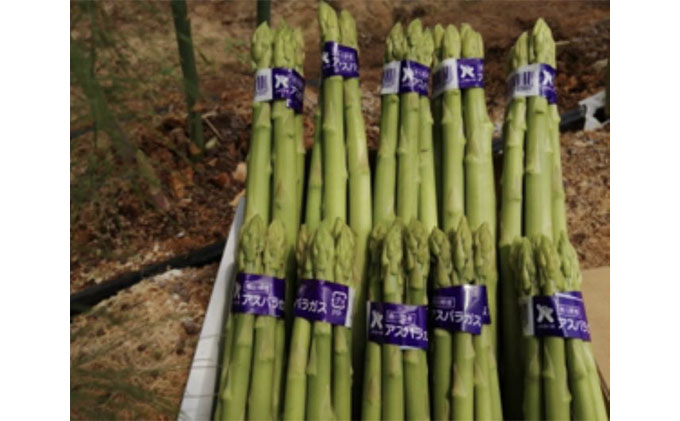 お野菜類のふるさと納税を探す（1ページ目）｜ふるラボ