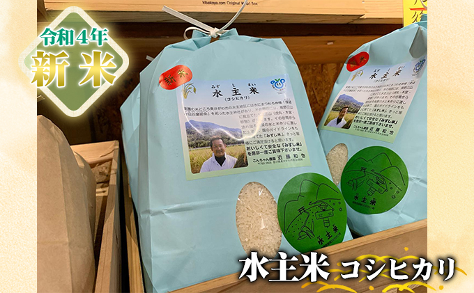 令和4年香川県産米 コシヒカリ 玄米30kg - 米