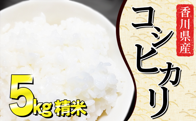 令和5年 香川県産 コシヒカリ 白米20キロ-