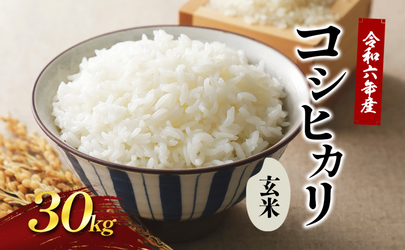 令和6年新米 國方さんの「コシヒカリ」30kg（玄米） 米 玄米 コシヒカリ 新米 ｜ふるラボ