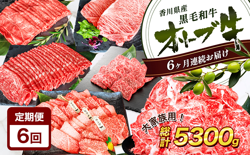 香川県産黒毛和牛オリーブ牛【6ヶ月お届け】大家族用 お肉 牛肉 焼肉 バーベキュー 