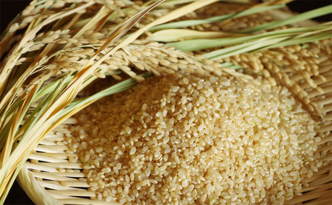 【令和3年 新米予約】高原さんの 福栄米（ふくえまい）コシヒカリ　玄米10kg