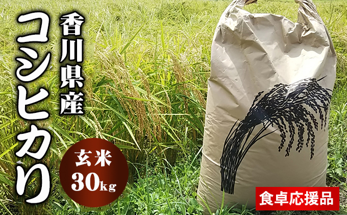 「食卓応援品」香川県東かがわ市 令和5年産 コシヒカリ（玄米 30kg）