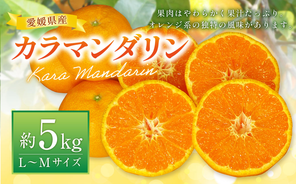 カラマンダリン L〜Mサイズ (約5kg) みかん 柑橘 果物 くだもの フルーツ (523) [2025年4月上旬〜2025年5月上旬発送予定]
