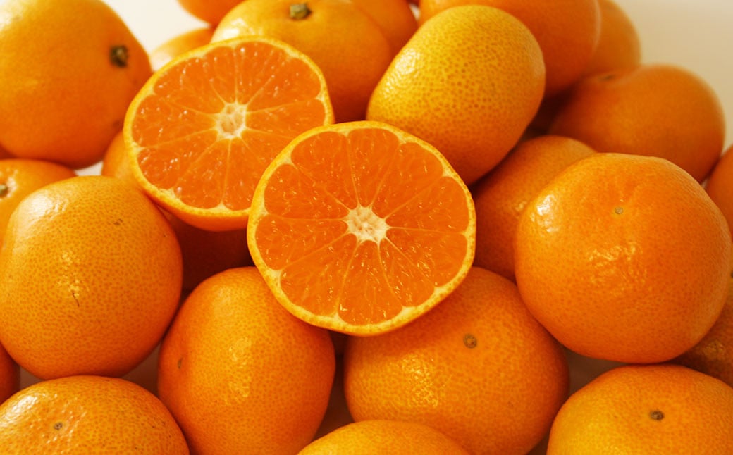 にしうわみかんL～Sサイズ （約5kg） みかん 蜜柑 柑橘 果物 くだもの フルーツ （518） 【2024年11月下旬～2024年12月下旬発送予定】