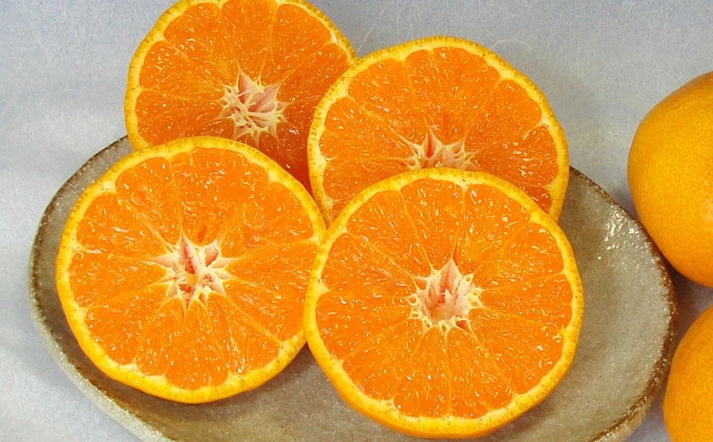 カラマンダリン L～Mサイズ （約5kg） 柑橘 果物 くだもの フルーツ （523） 【2025年4月上旬～2025年5月上旬発送予定】