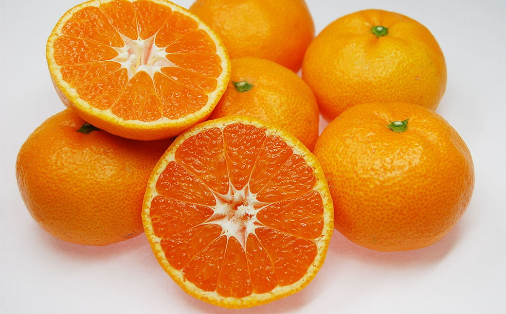 みかん （日の丸ゴールド） L～Sサイズ （約5kg） みかん 蜜柑 柑橘 果物 くだもの フルーツ （519） 【2024年11月下旬～2024年12月下旬発送予定】
