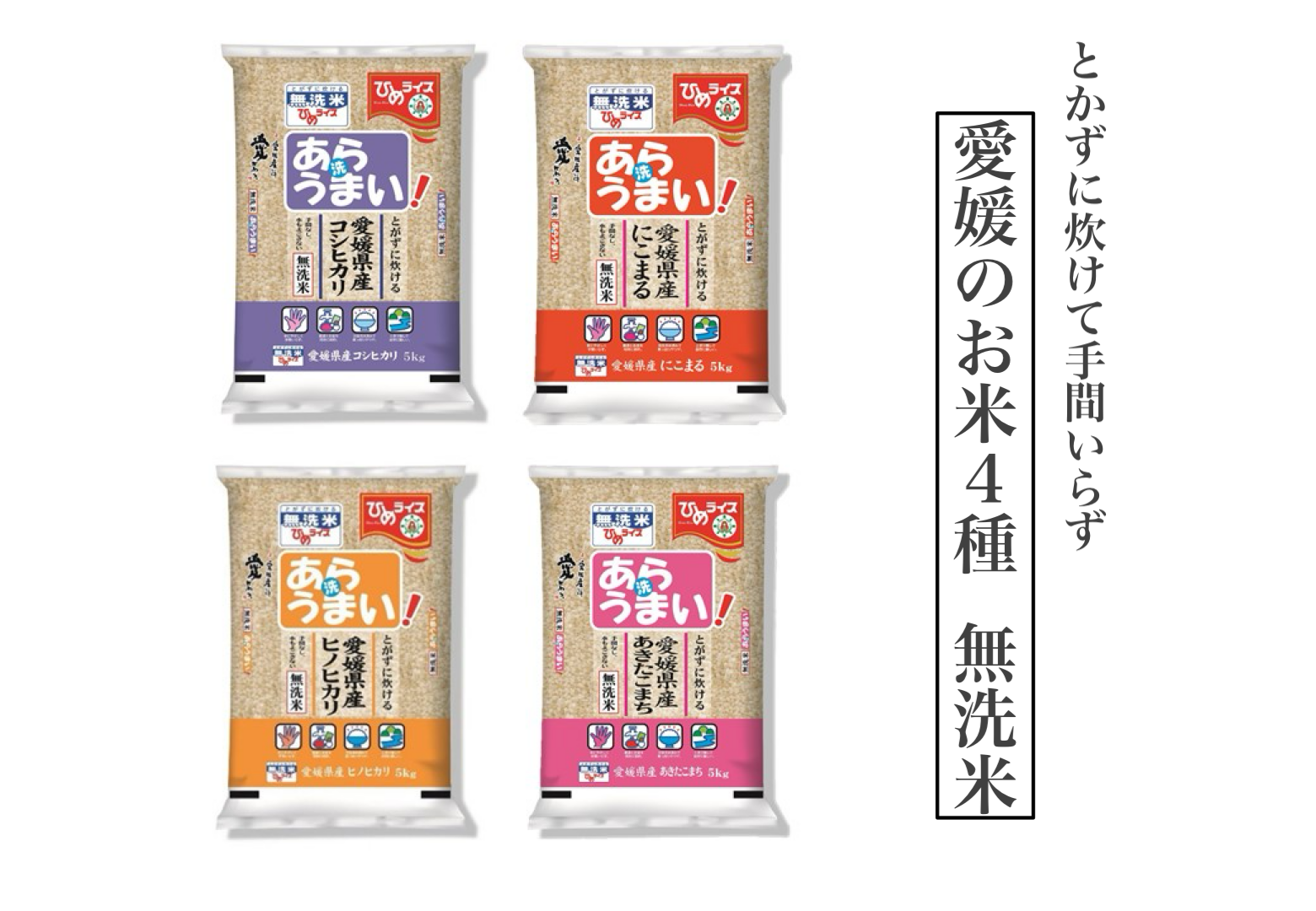 愛媛のお米4種(無洗米)5kg×4袋 合計20kg(388)