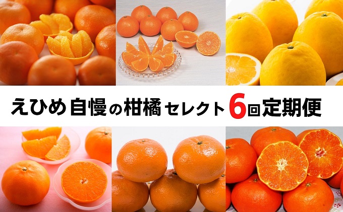 えひめの柑橘セレクト6回定期便　