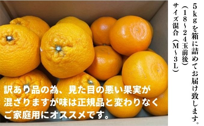 訳あり不知火（しらぬい） 約5kg 東温市産 サイズお任せ デコポン同