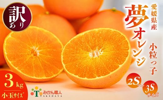 【訳あり】みかん職人の夢オレンジ 小粒っ子 3kg【発送期間：11月中旬～1月下旬】