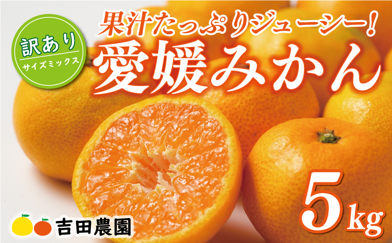 先行予約 訳あり 愛媛みかん 5kg 10000円 愛媛 みかん 温州みかん こたつ みかん mikan 蜜柑 ミカン 家庭用 産地直送 国産 農家直送 糖度 期間限定 数量限定 特産品 ゼリー ジュース アイス 人気 限定 甘い フルーツ 果物 柑橘 先行 事前 予約 受付 ビタミン 美味しい おいしい サイズ ミックス 愛南町 愛媛県 吉田農園