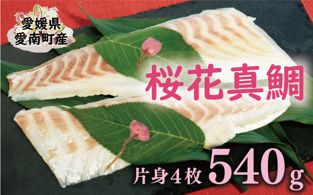 桜花 真鯛 切り身 4柵 合計 540g ( 270g ×2 パック ) 朝〆 まだい 鯛 愛南町 新鮮 冷凍 愛媛県 神経締め 皮引き 三枚おろし 国産 魚介 特産品 魚介類 海産物 鮮魚 養殖 産地直送 海鮮 ブランド 刺身 海鮮丼 塩焼き 煮付け 酒蒸し カルパッチョ 鯛飯 鯛しゃぶ 鯛めし 鯛茶漬け 鯛漬け お正月 お祝い 年末 年始 紅白 めでたい 真空 パック 柵 愛南サン・フィッシュ