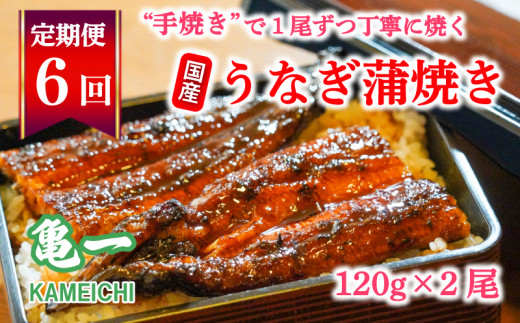 定期便 6回 うなぎ 蒲焼 約120g 2本 老舗 亀一 手焼き 鰻 タレ セット