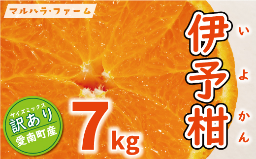 訳あり 伊予柑 7kg 7000円 （発送期間：2月中旬～無くなり次第終了