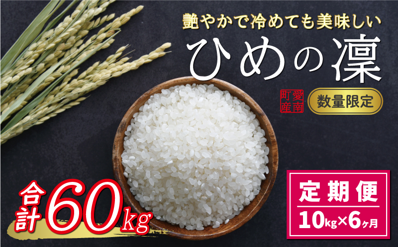 先行予約 新米 令和6年産 定期便 10kg × 6回 ひめの凜 合計 60kg 102000円 お米 白米 精米 米 こめ 産地直送 国産 農家直送  期間限定 数量限定 特産品 令和6年度産 2024年産 新品種 人気 ブランド 大粒 もっちり 甘み 冷めても おいしい