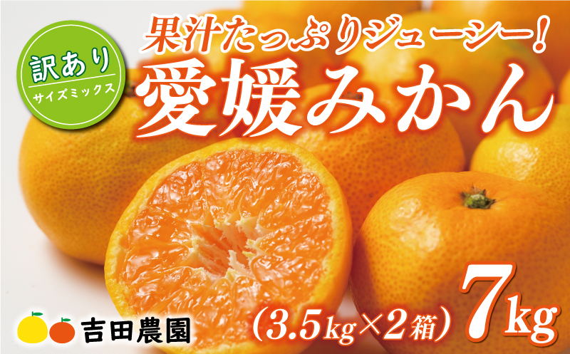 先行予約 訳あり 愛媛みかん 合計 7kg ( 3.5kg × 2箱 ) 14000円 愛媛 みかん 温州みかん こたつ みかん mikan 蜜柑 ミカン 家庭用 産地直送 国産 農家直送 糖度 期間限定 数量限定 特産品 ゼリー ジュース アイス 人気 限定 甘い フルーツ 果物 柑橘 先行 事前 予約 受付 ビタミン 美味しい おいしい サイズ ミックス 愛南町 愛媛県 吉田農園