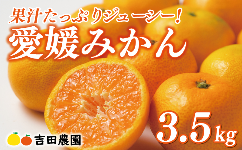 先行予約 愛媛みかん 3.5kg 8000円 愛媛 みかん 温州みかん こたつ みかん mikan 蜜柑 ミカン 家庭用 贈答用 ギフト プレゼント お歳暮 産地直送 国産 農家直送 糖度 期間限定 数量限定 特産品 ゼリー ジュース アイス 人気 限定 甘い フルーツ 果物 柑橘 先行 事前 予約 受付 ビタミン 美味しい おいしい 愛南町 愛媛県 吉田農園