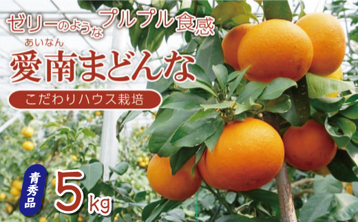 先行 予約 訳あり 愛南 まどんな 5kg 【 青秀品 】 みかん 20000円 愛果28号 紅まどんな 同品種 あいか アイカ 高級 人気 ブランド 柑橘 果物 フルーツ ハウス栽培 施設栽培 ギフト プレゼント 数量限定 期間限定 産地直送 国産 農家直送 特産品 お取り寄せ mikan 蜜柑 ミカン マドンナ スマイルカット 甘い おいしい ゼリー ぷるぷる 愛南町 愛媛県 果樹園みどり