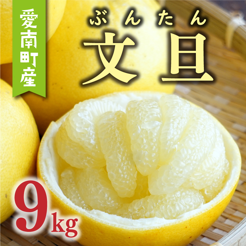 先行予約 文旦 9kg （ Lサイズ 以上 ） 15000円 ぶんたん みかん mikan 蜜柑 ミカン 産地直送 国産 農家直送 糖度 期間限定 数量限定 特産品 ゼリー ジュース アイス 人気 限定 甘い 果実 果肉 フルーツ 果物 柑橘 先行 事前 予約 受付 ビタミン 健康 美味しい おいしい ジューシー サイズ ミックス あいなんマザーズ 愛南町 愛媛県