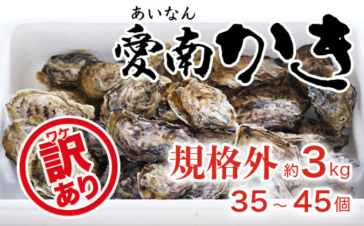 先行予約 訳あり 規格外 殻付き 愛南かき 3kg （35～45個） 10000円 わけあり 牡蠣 むき身 殻付 かき カキ オイスター 鍋 カキフライ ミルク ソテー クリームシチュー グラタン 牡蠣鍋 蒸し 酒蒸し オイル漬 塩辛 冷蔵 国産 産地直送 期間限定 数量限定 特産品 海鮮 魚介 養殖 人気 限定 愛南町 愛媛県