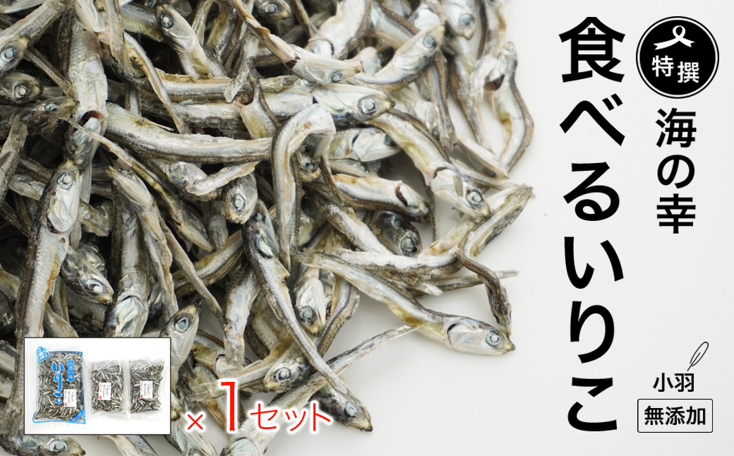 特選海の幸自然の味 小羽 いりこ（煮干し） 400g＋160g×２ 大島海産