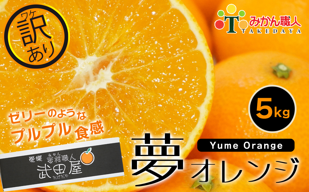 愛媛県愛南町のふるさと納税返礼品一覧（1ページ目）｜ふるラボ