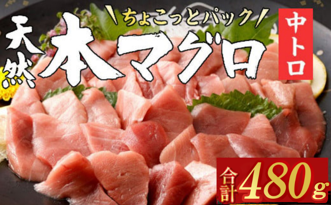 【お刺身ちょこっとパック】 天然本まぐろ 中トロ 切落し 480g 60g×8パック お手軽 食べきりサイズ 切り落とし お刺身 魚介類 海鮮 小分け 魚 天然まぐろ 魚貝 マグロ 高知県 簡単解凍 簡単調理 惣菜 冷凍