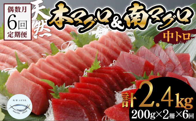 【６回定期便】天然本マグロ　天然南マグロ　中トロ　各1柵　偶数月にお届け