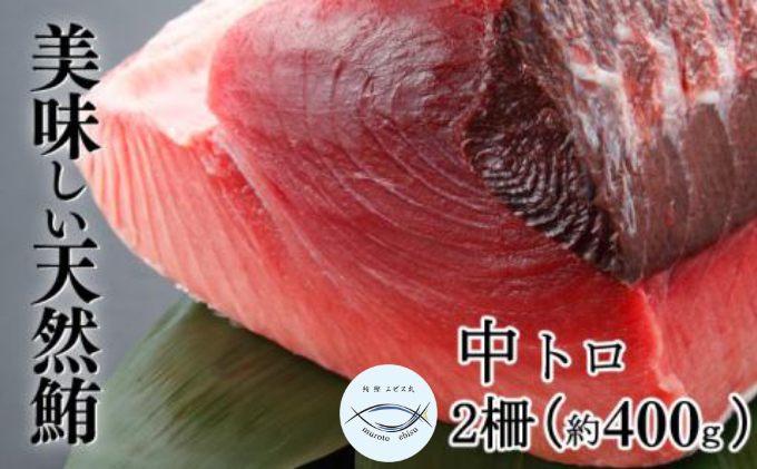 天然本マグロ　中トロ　２柵（４００ｇ）