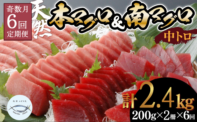 【６回定期便】天然本マグロ　天然南マグロ　中トロ　各1柵　奇数月にお届け