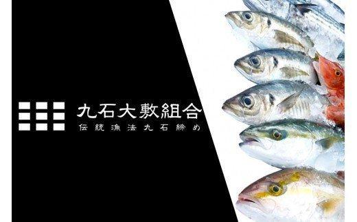 【リピーターの方へ！】　朝獲れ直送　漁師が船上で神経締めするから鮮度が違う　お楽しみ鮮魚ボックス (3〜5kg)