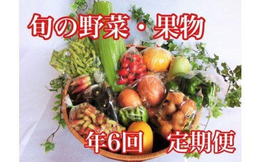 高知県須崎市産　旬の野菜・果物セット　年6回　定期便　ME2000