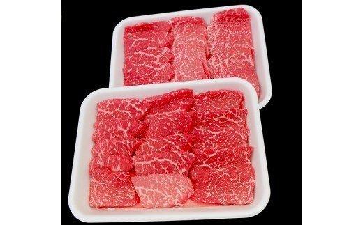 土佐黒毛和牛Ａ５〜Ａ４等級（特撰モモ肉）やわらか焼肉用６００ｇ×２　TM012