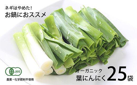 高知県産 冷凍オーガニック葉ニンニク150g×25袋(無農薬・有機JAS認証品)　EA013