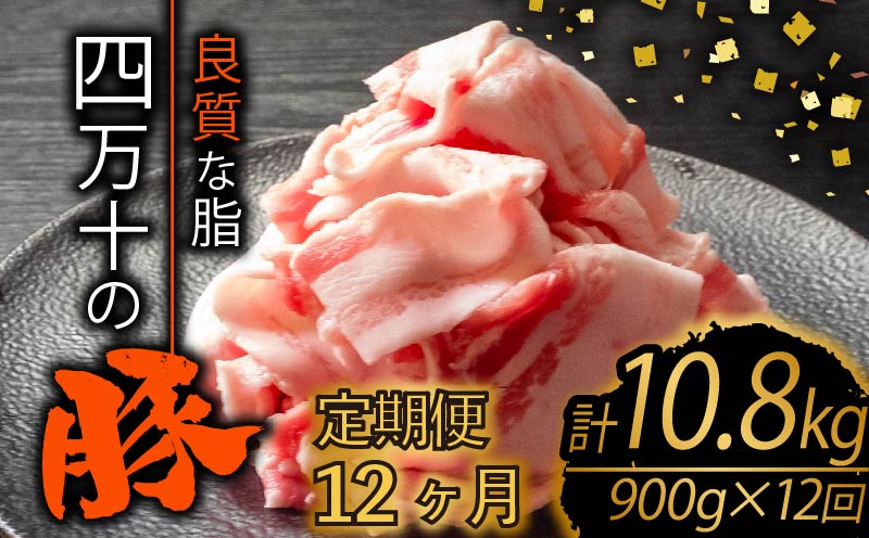 [定期便12回]四万十ポークスライス 計10.8kg(900g×12ヶ月連続お届け) 2Dコース | 豚肉 豚バラ肉 小分け 小間切れ スライス 切り落とし 冷凍 真空パック 簡単調理 細切れ 大容量 肉 高知県 須崎市