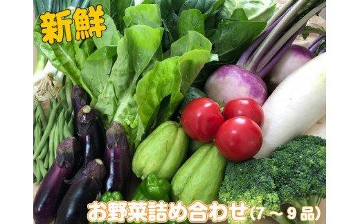 南国土佐の新鮮お野菜詰め合わせ（7~9品）　NK006