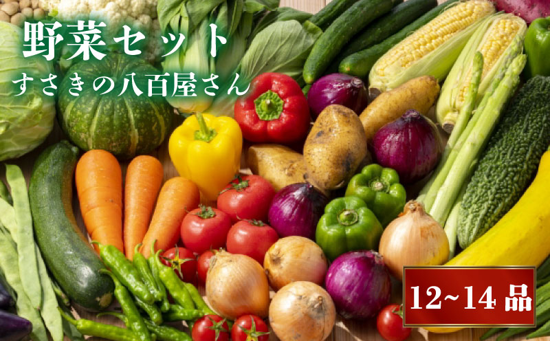 【2025年1月より順次発送】 「２人暮らし」にぴったり　南国土佐のお野菜「食べきりサイズ」　NK002