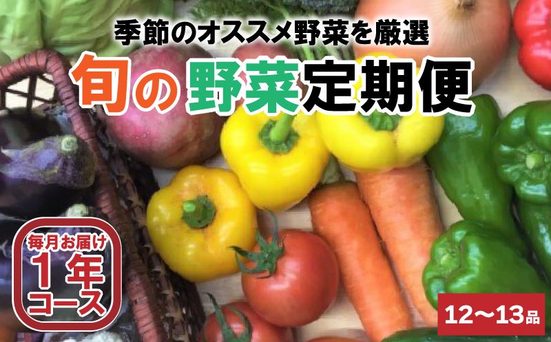 【限定100セット】1年間定期便　お野菜セット（12〜13品前後） AWA9000