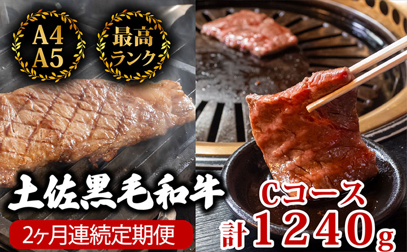 【2回定期便】土佐黒毛和牛 食べ比べ 1240g (計1.2kg以上) | Cコース 厳選 国産 和牛 ステーキ 焼き肉 お肉 にく 霜降り 牛肉 モモ肉 もも肉 サーロイン 人気 贈答 ギフト プレゼント 小分け 数量限定 2ヵ月 頒布会 老舗 たけうちミート 高知県 須崎市 TM5000