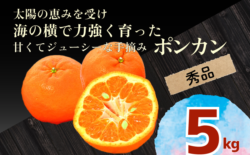 [早期予約]大人気!安和 ポンカン 秀品 5kg 発送期間:2025年1月中旬〜順次発送