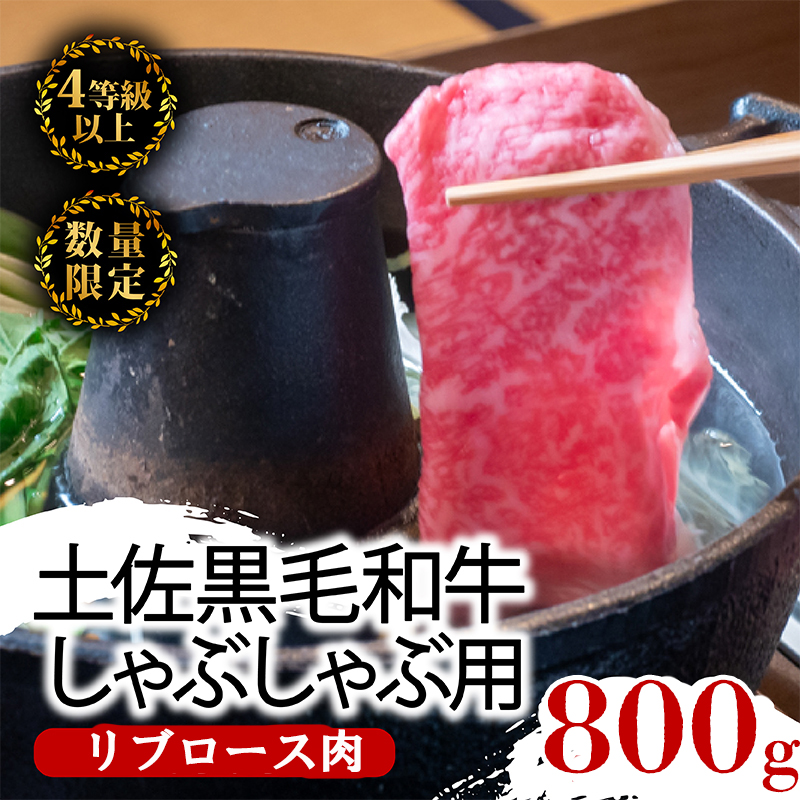 土佐 黒毛 和牛 しゃぶしゃぶ用 800g | 特撰 リブロース肉 最上位等級 A4 A5 最高ランク 贅沢 しゃぶしゃぶ 鍋 スライス 焼肉用 小分け 冷凍 国産 牛肉 高知県 須崎 TM015