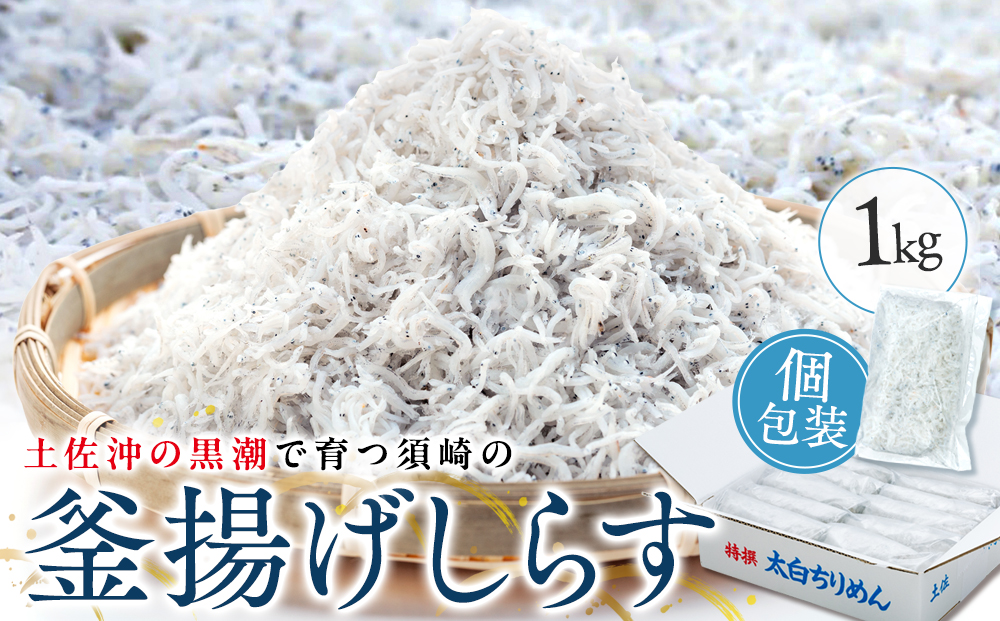 鮮度抜群！ 海の玄米 子ども用釜揚げシラス 1kg