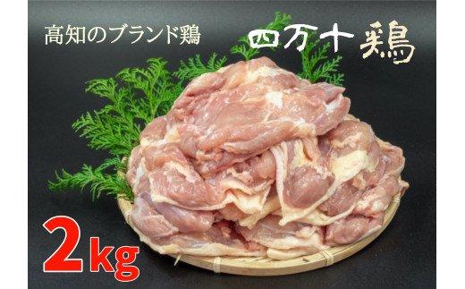 ブランド鶏「四万十鶏 もも肉」2kg　TM018_x