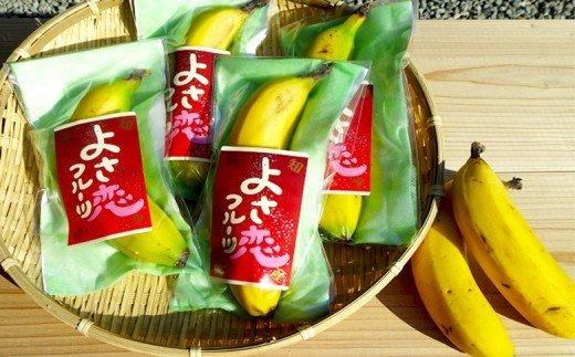 高知初!! 純国産 有機栽培 皮ごと食べられるバナナ