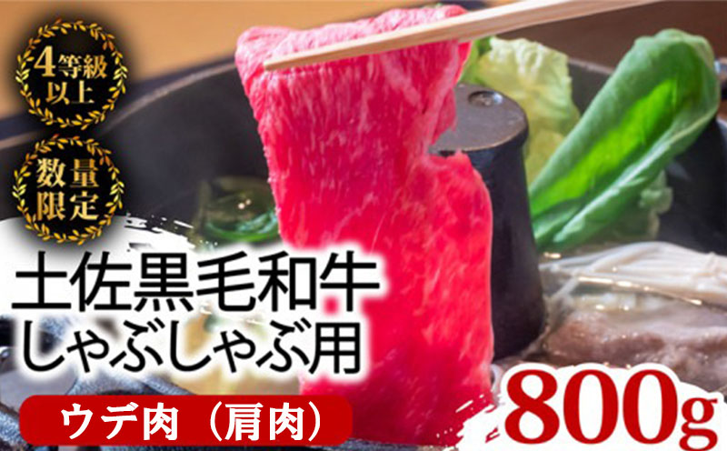 土佐 黒毛 和牛 しゃぶしゃぶ用 800g （ 400g × 2パック ） | 特撰 ウデ肉 肩肉 最上位等級 A4 A5 最高ランク 贅沢 しゃぶしゃぶ　鍋 スライス 焼肉用 小分け 冷凍 国産 牛肉 高知県 須崎 TM006